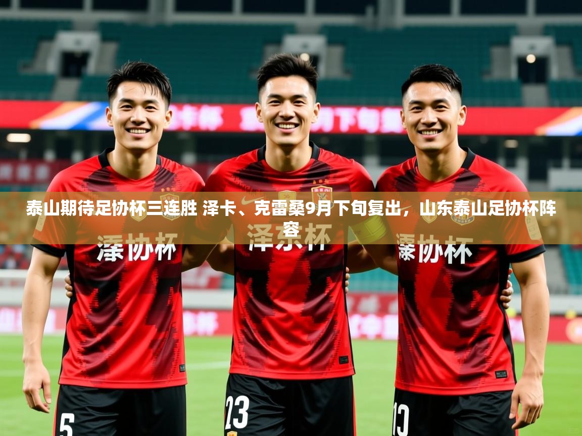 2025澳客体育官网泰山期待足协杯三连胜 泽卡、克雷桑9月下旬复出，山东泰山足协杯阵容  第4张